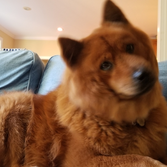 Meet your Posher, Lorilyn - Picture 7 of 16